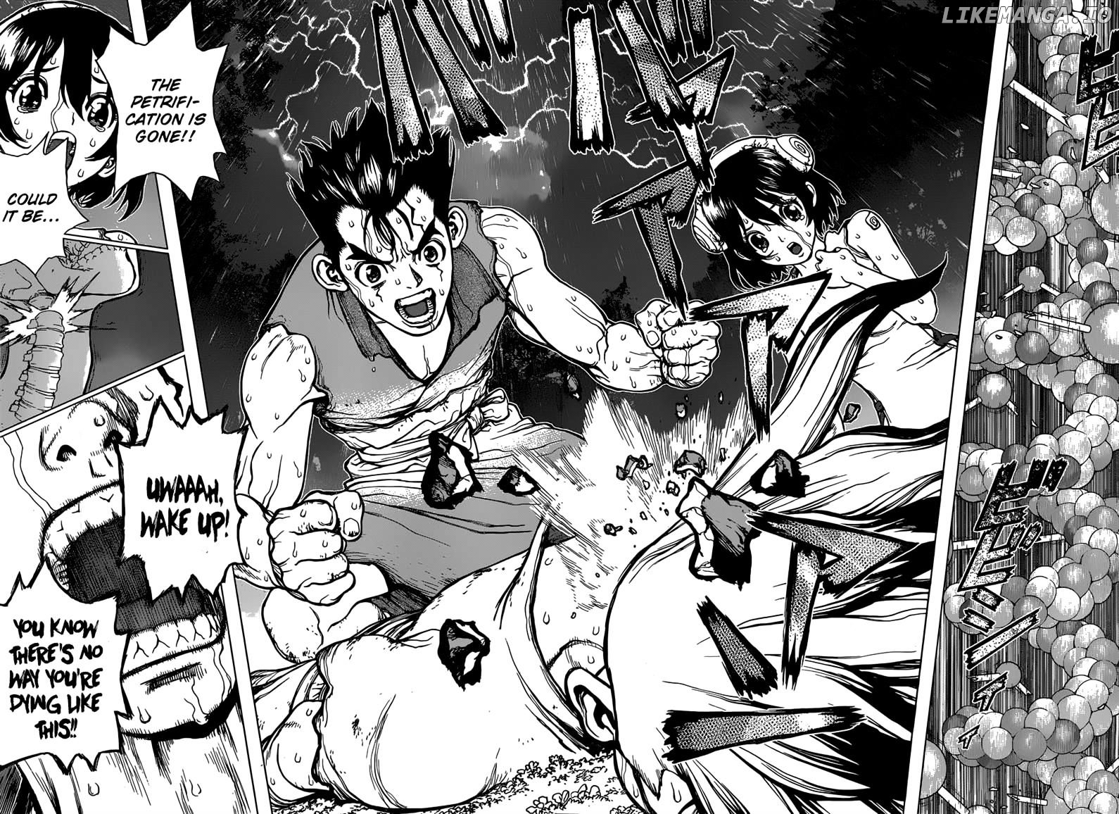 Dr.Stone Chapter 12 image 14